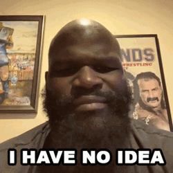What's Going On I Have No Idea GIF