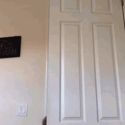 What's In Here Rubbing Hands GIF