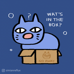 What's In The Box Blue Cat Animation GIF