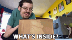 What's In The Box Excited Ricky Berwick GIF