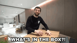 What's In The Box Inquisitive Big Smile GIF
