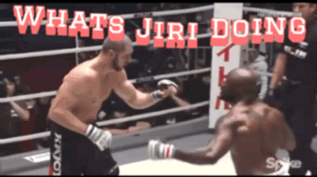 What's Jiri Doing Jiri Prochazka GIF