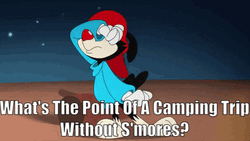 What's The Point Of Camping Without Smores GIF