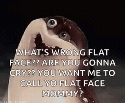What 'S Wrong Flat Face Are You Gonna Cry ? You Want Me To Call Yo Flat Face Mommy ? GIF