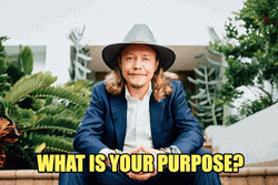 What's Your Purpose Congratulations On Your New Job GIF
