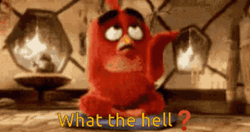 What The Hell Angry Bird Red GIF