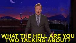 What The Hell Are You Talking About GIF