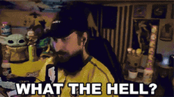 What The Hell Livestream GIF