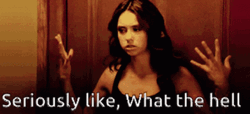 What The Hell Seriously Like GIF