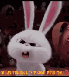 What The Hell Snowball The Secret Life Of Pets  GIF