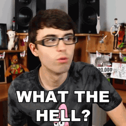 What The Hell Steve Terreberry GIF