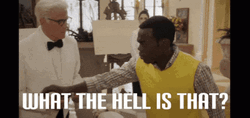 What The Hell William Jackson Harper GIF
