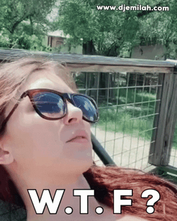 What The Lady In A Sunny Day GIF