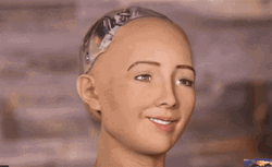 What The Shocking Reaction GIF