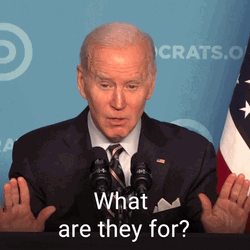 What Was The Reason Joe Biden GIF