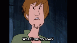 What Will We Do Now Scared Animated Shaggy GIF