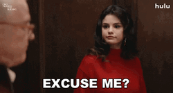 What Would You Say You Do Here Selena GIF
