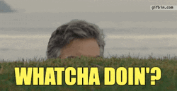 Whatcha Doin Man Behind Bush GIF