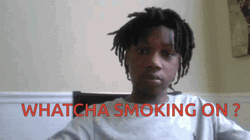 Whatcha Smokin On GIF