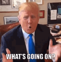 Whats Going On Donald Trump Asks Angrily GIF