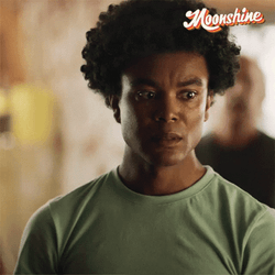 Whats Happening Here Moonshine GIF