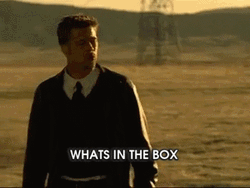  Whats In The Box Brad Pitt The Se7en GIF