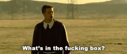 Whats In The Box Brad Pitt Yelling Angry GIF