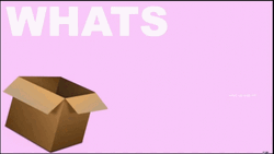 Whats In The Box Head Peeking Surprise GIF