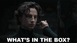 Whats In The Box Timothée Chalamet GIF