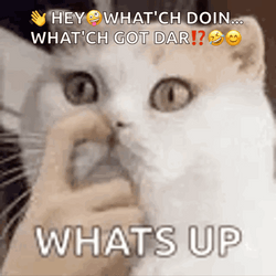Whats Up Doc Car Groaning GIF