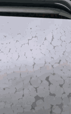 Whats Up GIF
