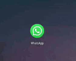 Whatsapp Circling Around Logo