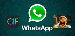 Whatsapp Gifs