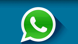 Whatsapp Notification Blast