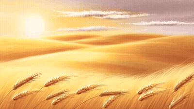 Wheat Field Psalm 105:1 GIF