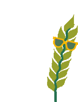 Wheat Kws Wheat Sticker GIF