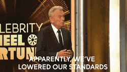 Wheel Of Fortune Lowered Our Standards GIF