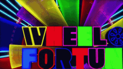 Wheel Of Fortune TV Show GIF