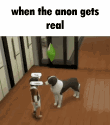 When Anon Gets Real Dog Hug GIF