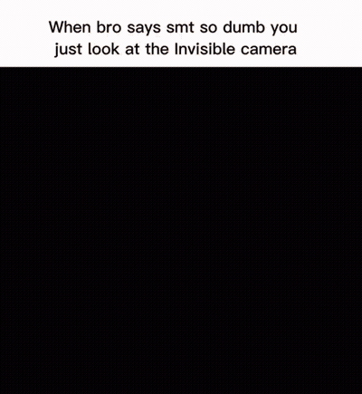When Bro Says Smt So Dumb You Just Look At The Invisible Camera Cartoon GIF