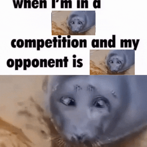 When I 'M In A Competition And My Opponent Is A Seal GIF