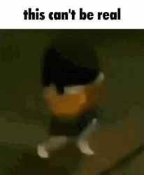 When Keeping It Real Goes Wrong This Can't Be Real GIF