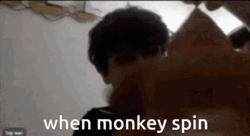 When Monkey Spinning GIF