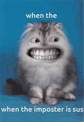 When The Imposter Is Sus Cat Grinning GIF