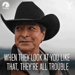 When They Look At You Like That GIF