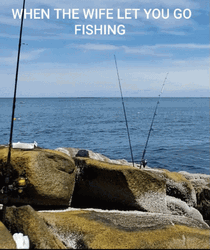 When Wife Let You Funny Fishing GIF