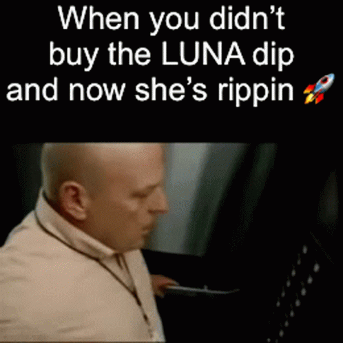 When You Didn't Buy The Luna Dip And Now She's Rippin Meme GIF