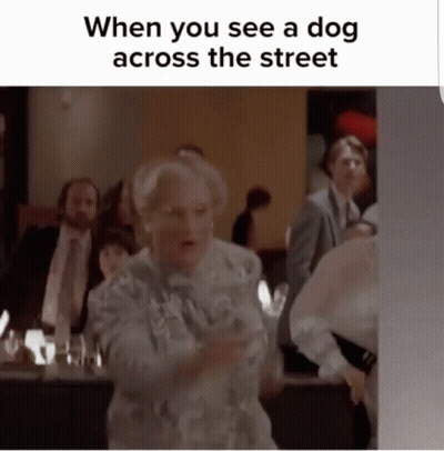 When You See A Dog Across The Street Woman GIF