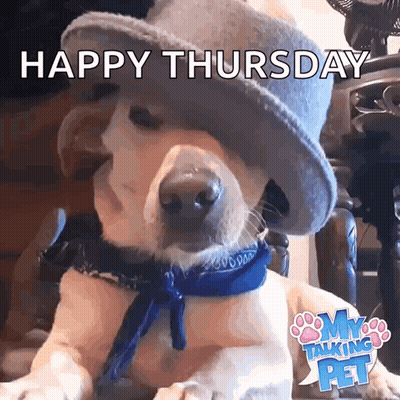 When You Think It's Friday But It's Only Thursday GIF