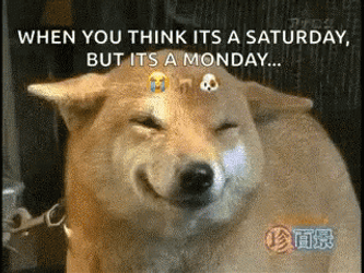 When You Think Its Saturday But Monday Monday GIF